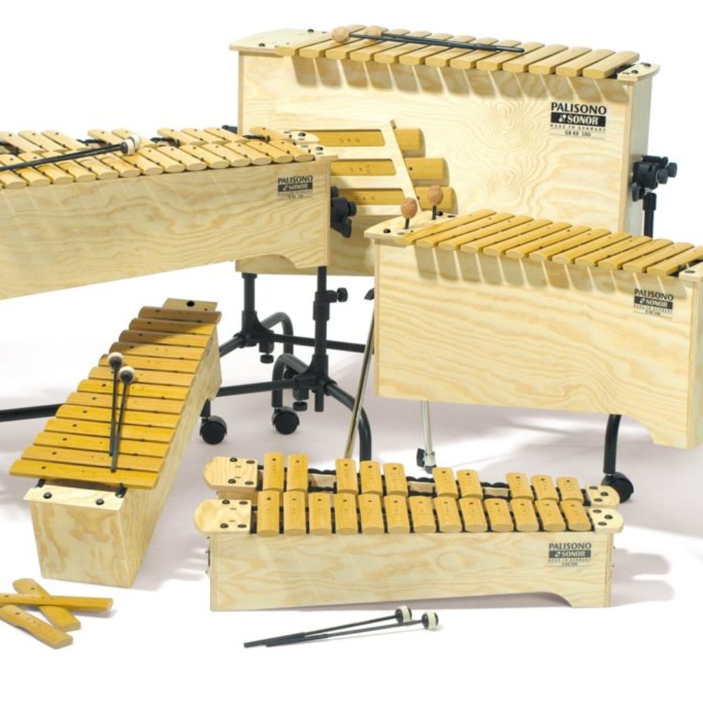 wir-sind-altenpflege-sonor-paliso_xylo_0904_114831 Xylophone