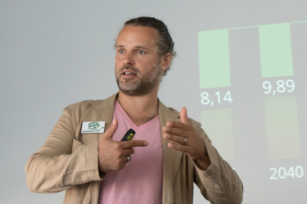 Armando-Sommer-Strategie